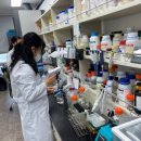 바이오-테크 이미지