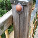 서울서빙고초등학교 이미지