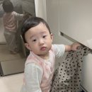 올라펫살롱 이미지