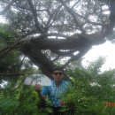 부일농장 이미지