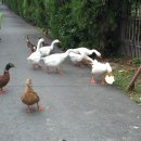 용연주유소 이미지