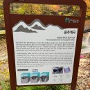 가을민박 | [경북 문경]가을등산 추천 문경 대야산 블야100대명산