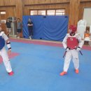 한양대 올림픽 태권도 이미지