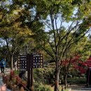 용인자연휴양림 이미지