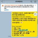[내돈내산]코지레코드 브라이드밸리 본식 DVD 계약 후기(+추천인 코드)