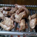 서래갈매기 이미지