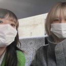 도쿄타이 이미지
