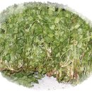 재석농장 이미지