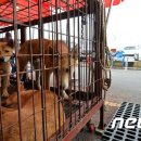 한산건강원 - 평택시 판교길 23 | 한산건강원