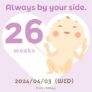 아이맘봉봉 | 임신일기 22 (26주차 / 임산부 담낭절제술, 임산부 전신마취, 임산부 수술후기)