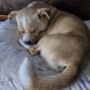 땡구야놀자 이미지