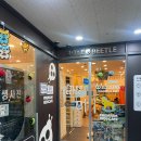 다산리틀주니어