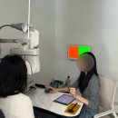 청라포레스트 | [청라 포레스트 안경원] 제니 레이벤, 셀린느 선글라스 + 오벌안경 구매후기