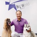 월드애견 이미지