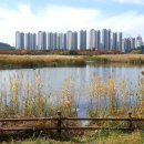 화랑유원지 이미지