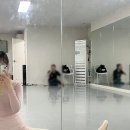 토요 발레 토슈즈 | 3년차 직장인 취미발레 기록 + 토슈즈