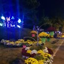 홈플러스옆길 이미지