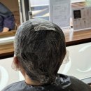 하이컬러 | 기장추가 없는 염색 전문 미용실 추천｜하이컬러 광교점 방문 후기