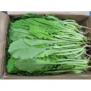 자연대로 이미지