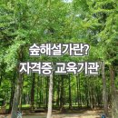 숲해설가가 되기위한 방법 자격증과 준비과정