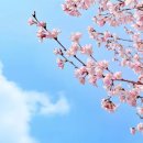 고복수변공원 이미지