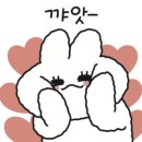 멍블랑 강아지분양 시흥배곧점 이미지