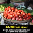 과일 정리3 (apple이 들어가는 과일들) 이미지