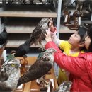 보리와철새 이미지