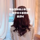 화성 동탄 헤어샵 박승철헤어스투디오 동탄호수공원점 미용실 클리닉 후기