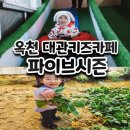 옥천 아이랑 키즈카페 파이브시즌 대관후기