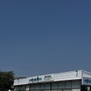 트라이죽도점 | 영종도 물회 맛집 선녀풍 2시간 웨이팅 후기