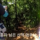 충신모토