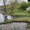 64행정사사무소 이미지