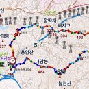 신통연합의원 이미지