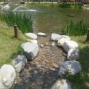 바우갈비 이미지