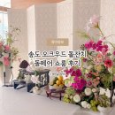 오크우드프리미어인천호텔 | 송도 소규모 돌잔치 오크우드프리미어 인천 호텔 돌페어 상차림