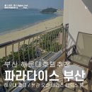 해운대 파라다이스 부산 호텔 본관 디럭스 오션 테라스 룸 숙박 후기