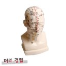 (주)진산메디칼 이미지