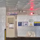 황제꽃소 이미지