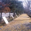 산서중학교 Daum카페