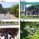 [2012년 5월 5일] &#34;곤지암수목원&#34; 후기 이미지