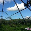 호기농장 이미지