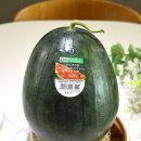위너앤 | 롯데마트 제타 수박 고르는 법! 제철앤제타 수박대전 행사 수박 화채 만들기