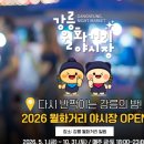 강릉월화거리 충청시사신문