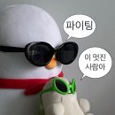 너무너무 아팠던 매복사랑니 발치 후기(+ 비용, 일주일 붓기 변화)