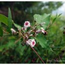 산꽃미술관 이미지