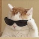 미녀미용실 이미지