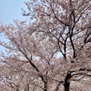 삼문강변로 이미지