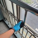 크린프랜드 이미지