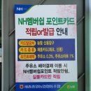 채움셀프주유소 이미지